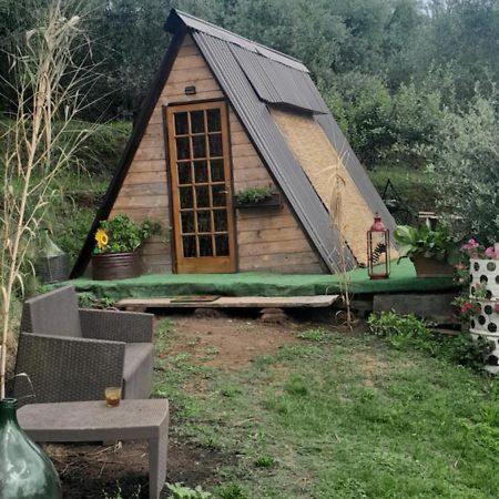 La Fatina Lodge Barga Zewnętrze zdjęcie