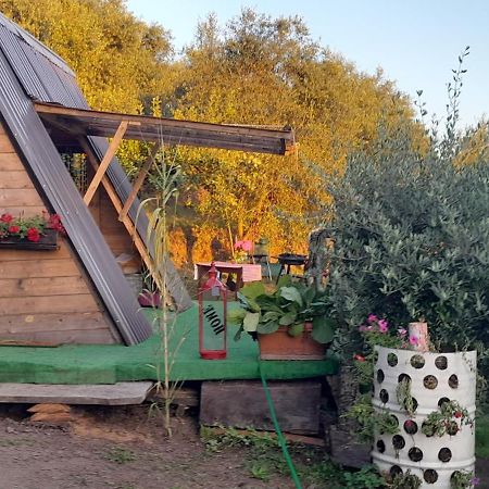 La Fatina Lodge Barga Zewnętrze zdjęcie