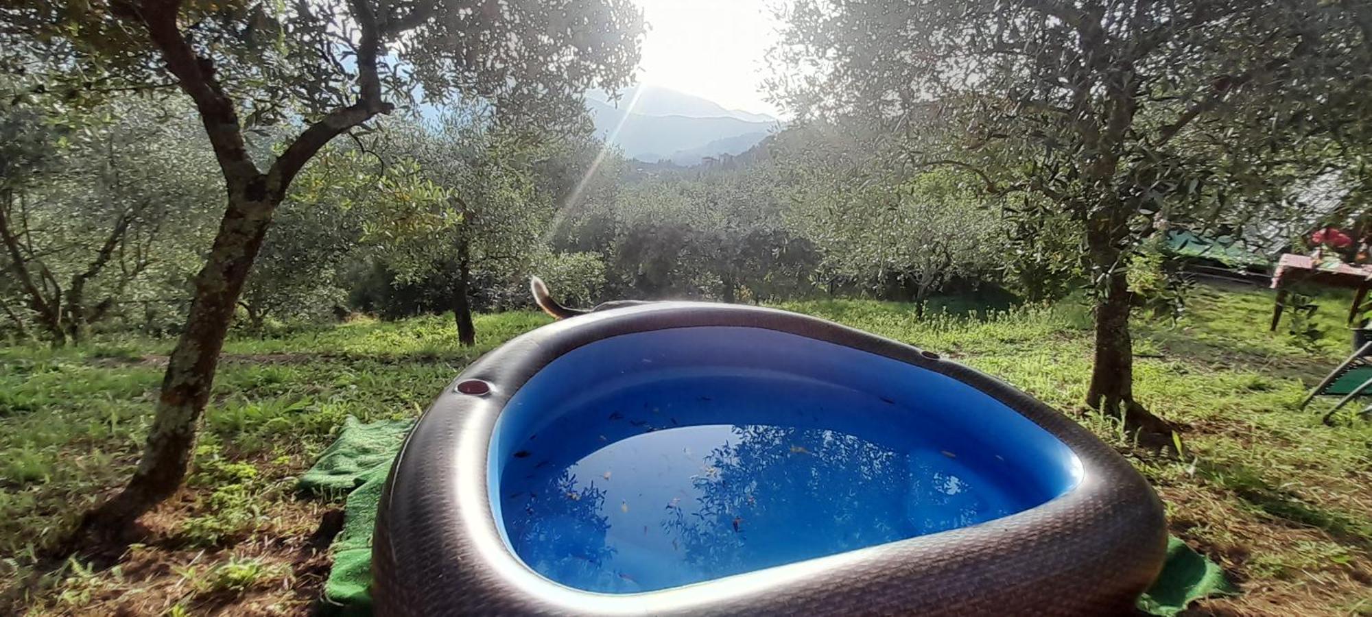 La Fatina Lodge Barga Zewnętrze zdjęcie