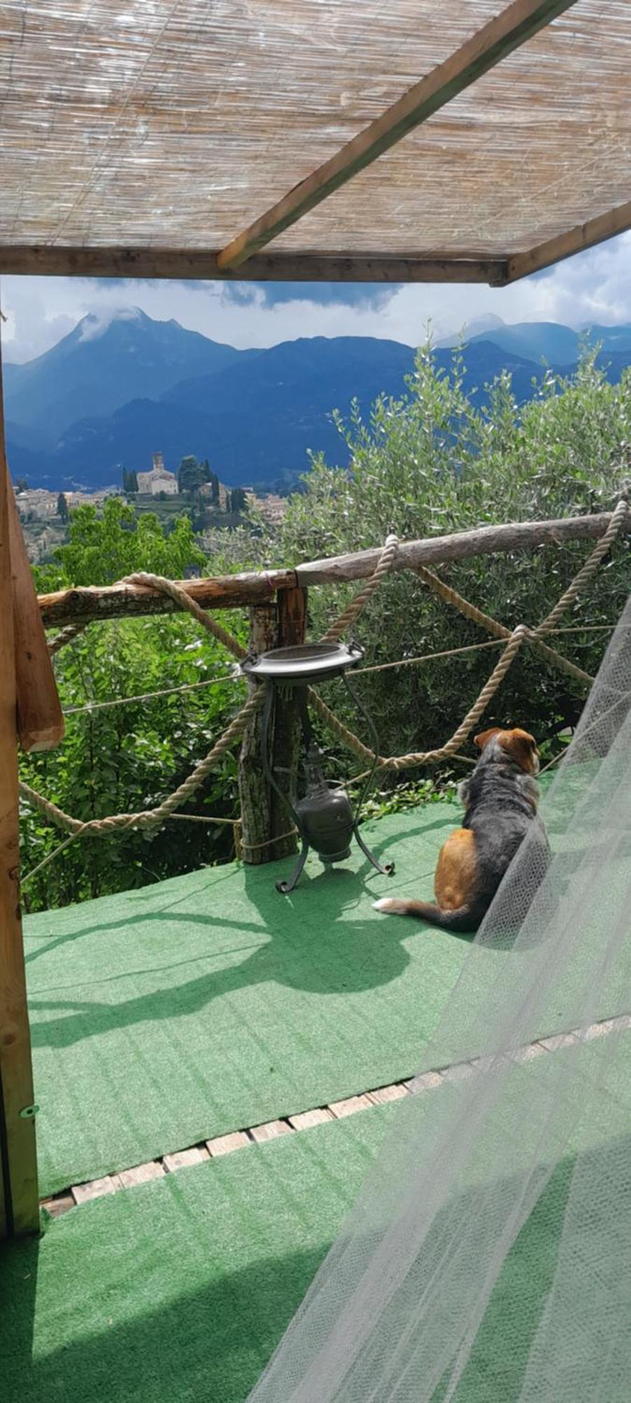 La Fatina Lodge Barga Zewnętrze zdjęcie