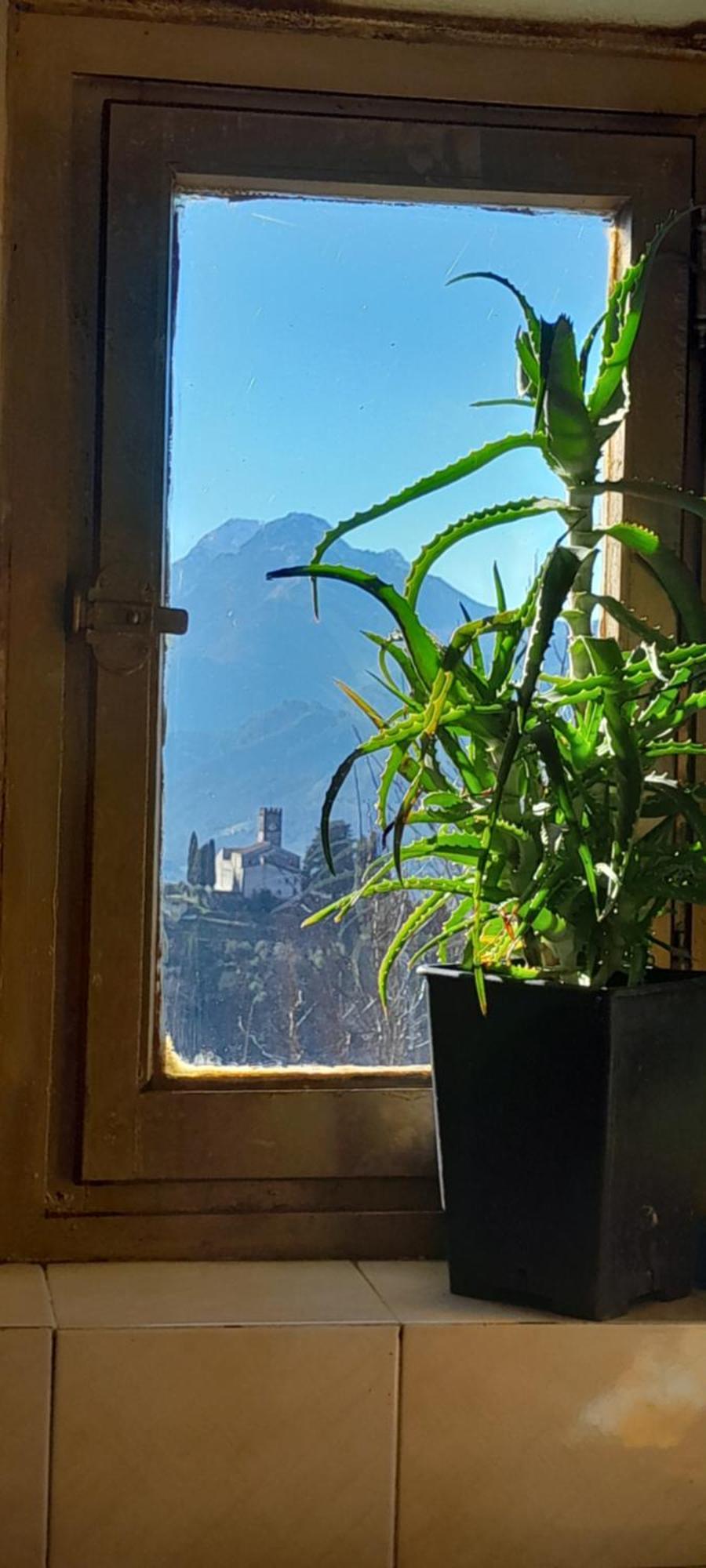 La Fatina Lodge Barga Zewnętrze zdjęcie